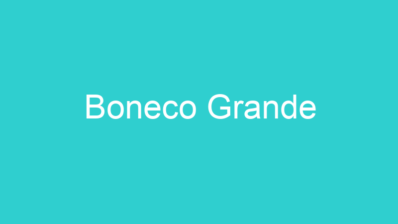 Boneco Grande