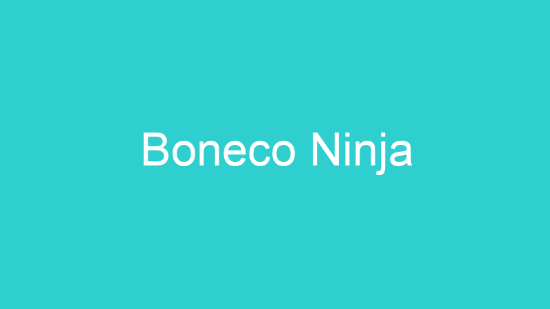 Boneco Ninja