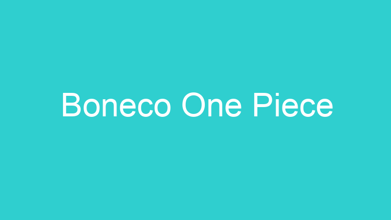Boneco One Piece