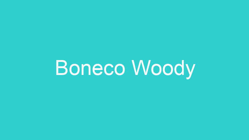 Boneco Woody