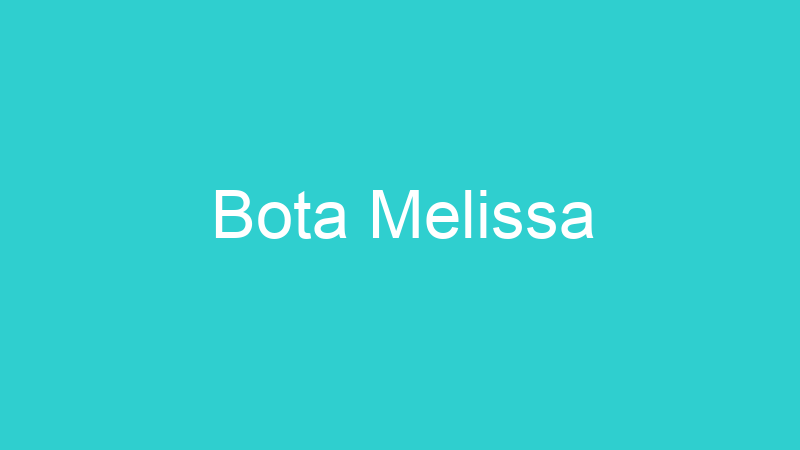 Bota Melissa