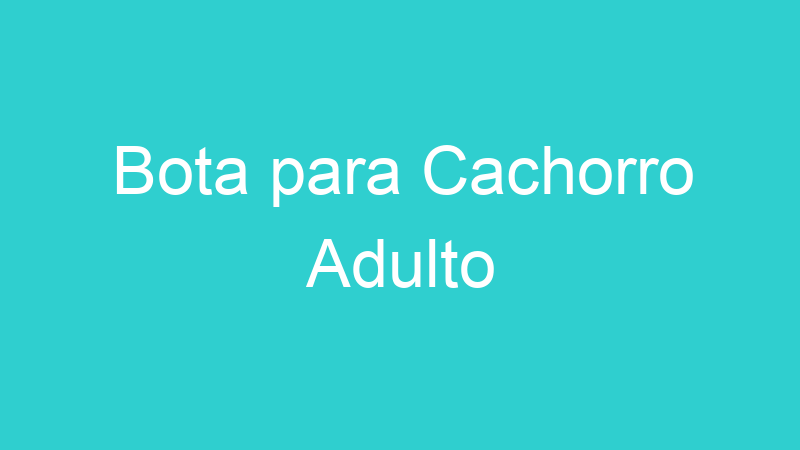 Bota para Cachorro Adulto