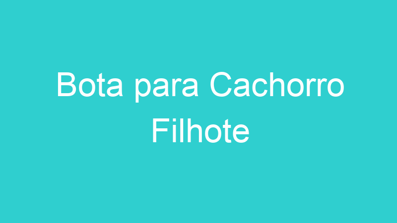 Bota para Cachorro Filhote