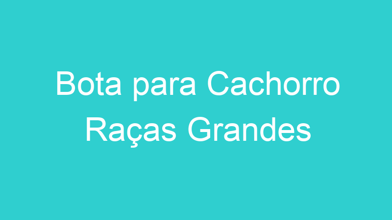 Bota para Cachorro Raças Grandes