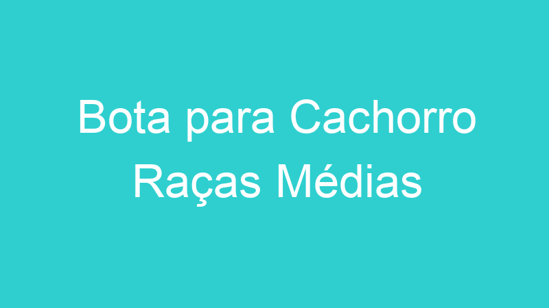 Bota para Cachorro Raças Médias