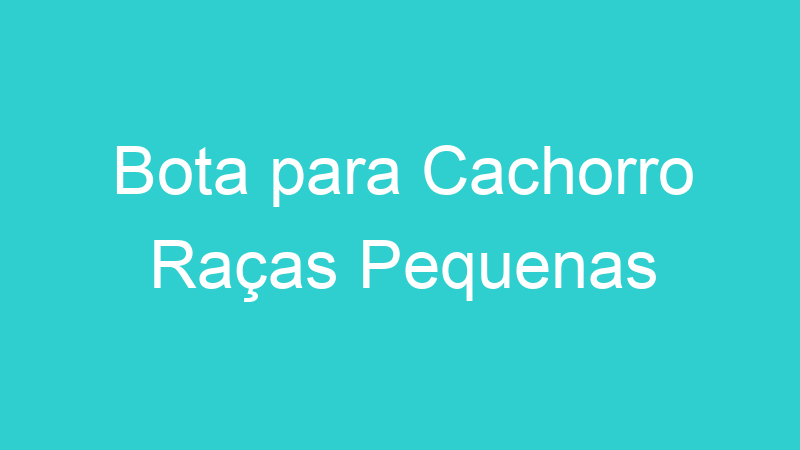 Bota para Cachorro Raças Pequenas