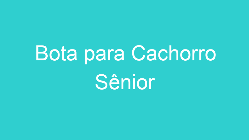 Bota para Cachorro Sênior