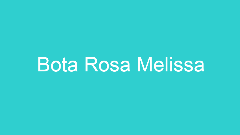 Bota Rosa Melissa