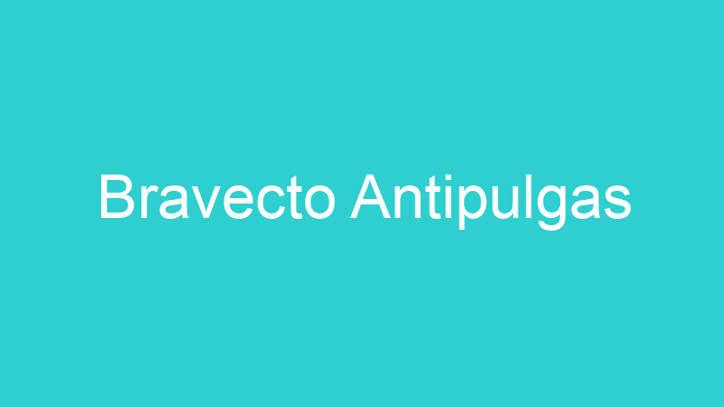 Bravecto Antipulgas