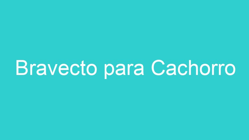 Bravecto para Cachorro
