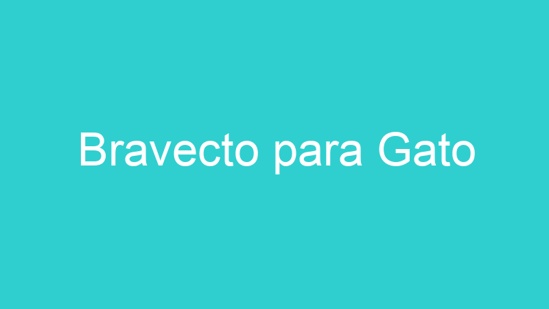 Bravecto para Gato