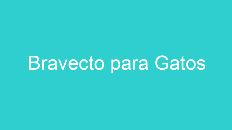 Bravecto para Gatos