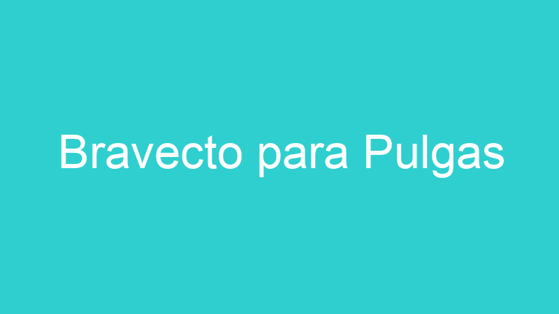Bravecto para Pulgas