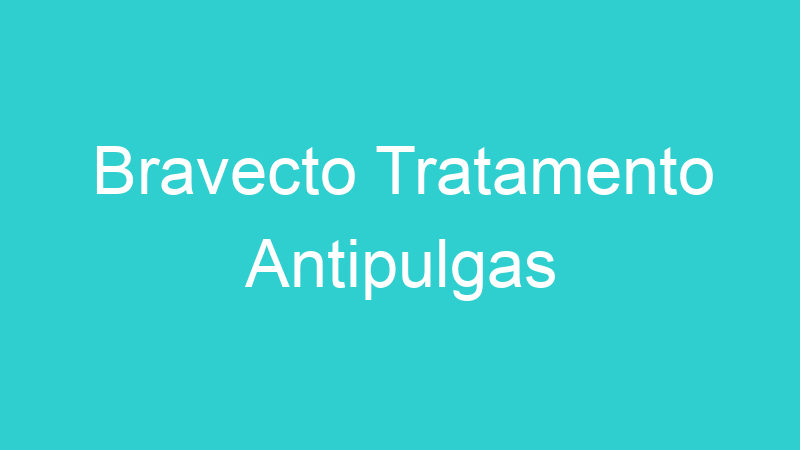 Bravecto Tratamento Antipulgas
