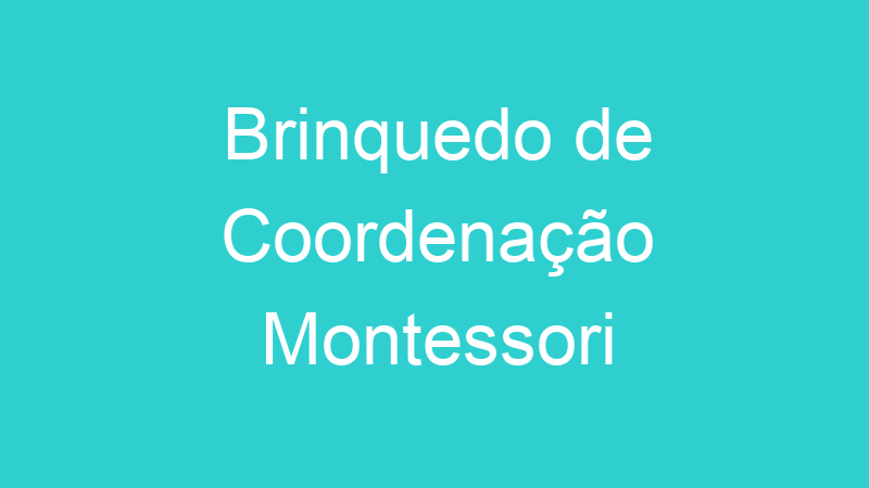 Brinquedo de Coordenação Montessori