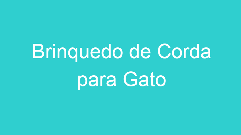 Brinquedo de Corda para Gato