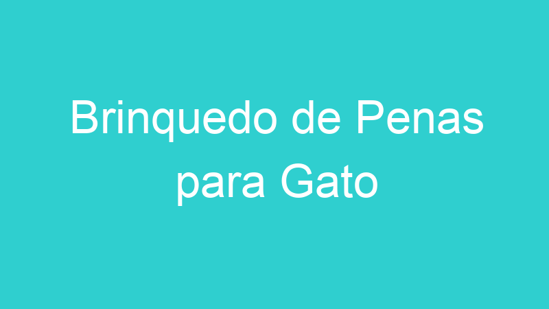 Brinquedo de Penas para Gato