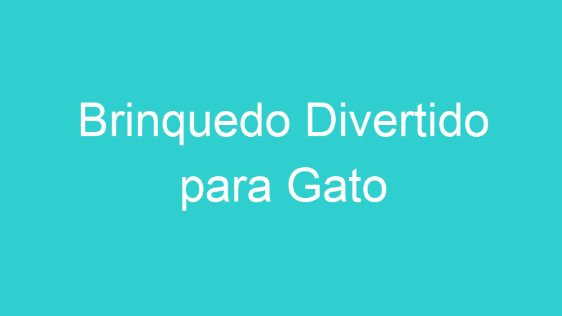 Brinquedo Divertido para Gato
