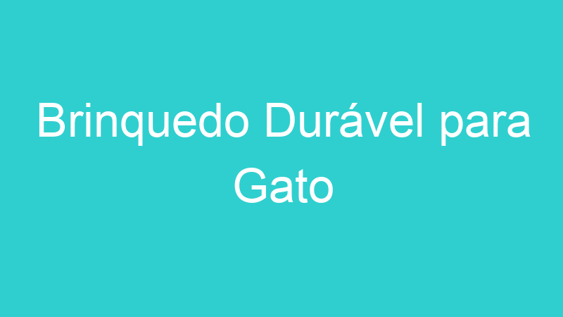 Brinquedo Durável para Gato