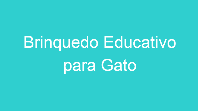 Brinquedo Educativo para Gato