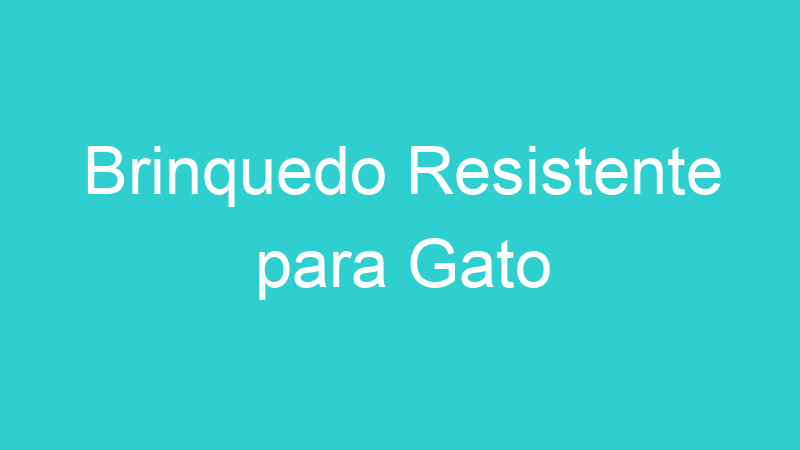 Brinquedo Resistente para Gato