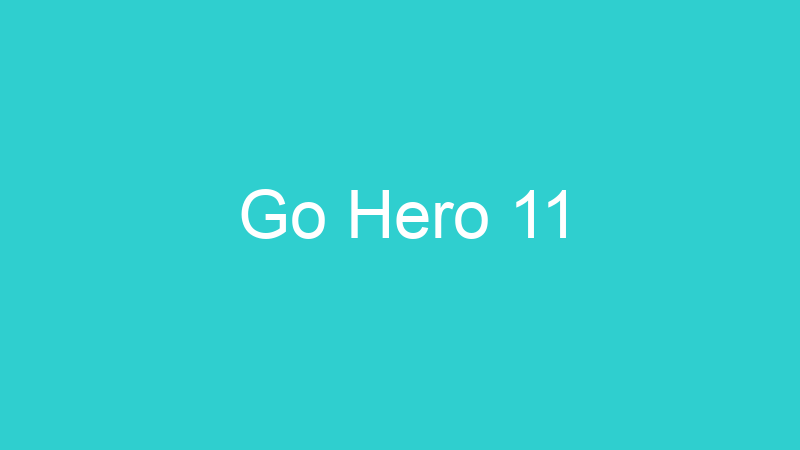 Go Hero 11