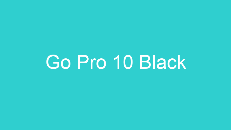 Go Pro 10 Black