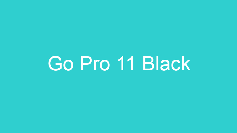 Go Pro 11 Black
