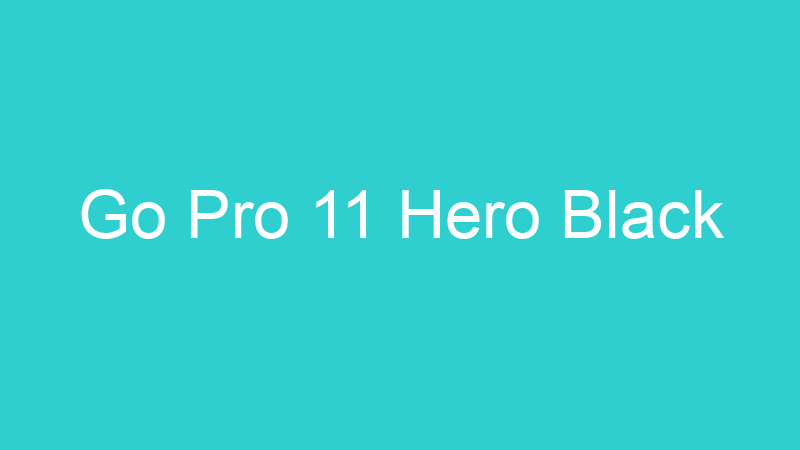 Go Pro 11 Hero Black