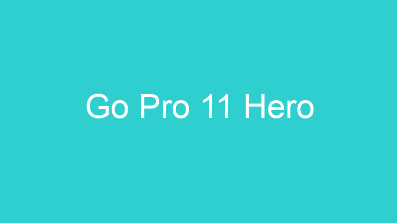 Go Pro 11 Hero