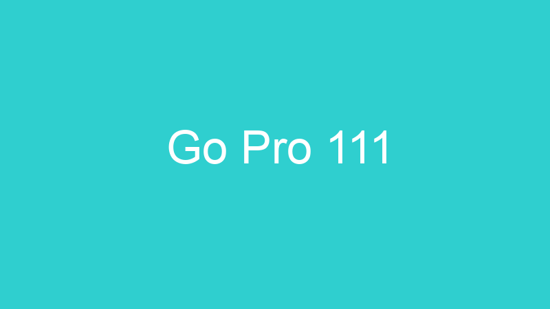 Go Pro 111