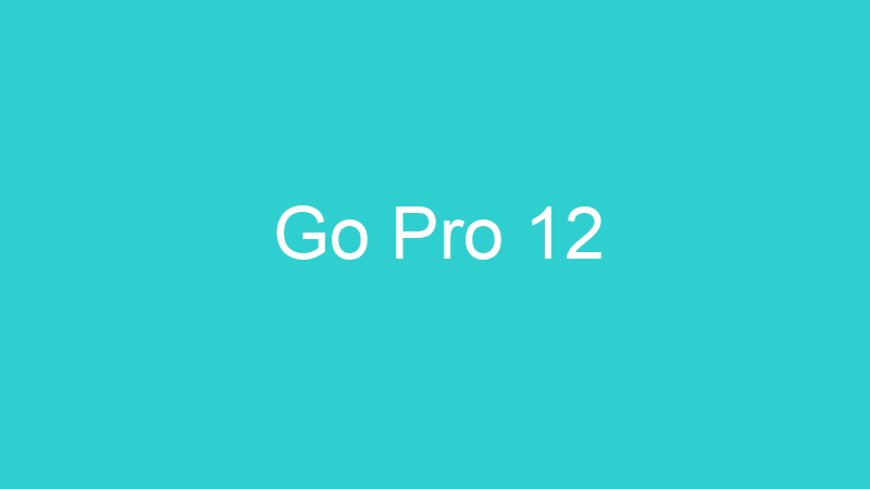 Go Pro 12