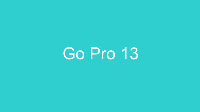 Go Pro 13