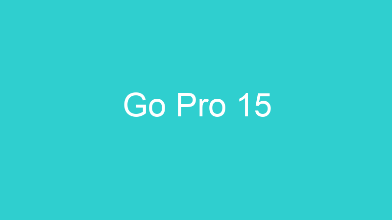 Go Pro 15