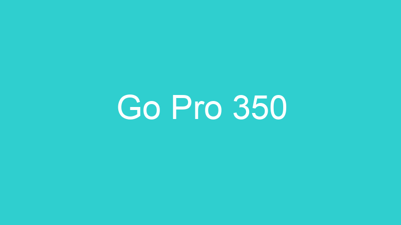 Go Pro 350