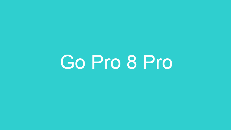 Go Pro 8 Pro
