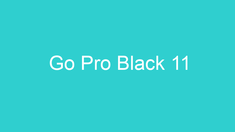 Go Pro Black 11