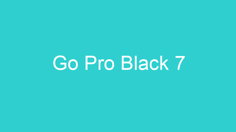 Go Pro Black 7
