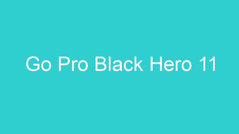Go Pro Black Hero 11