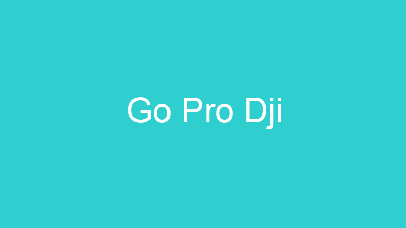 Go Pro Dji