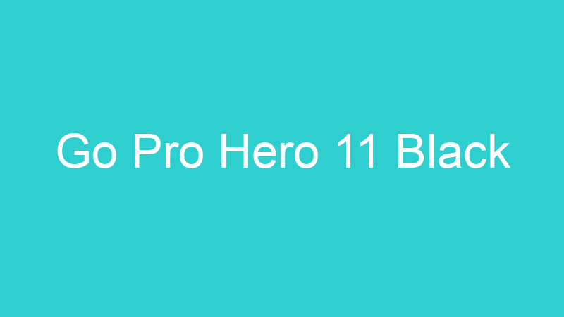 Go Pro Hero 11 Black