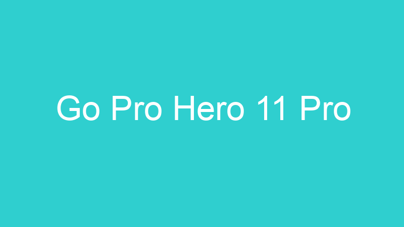 Go Pro Hero 11 Pro