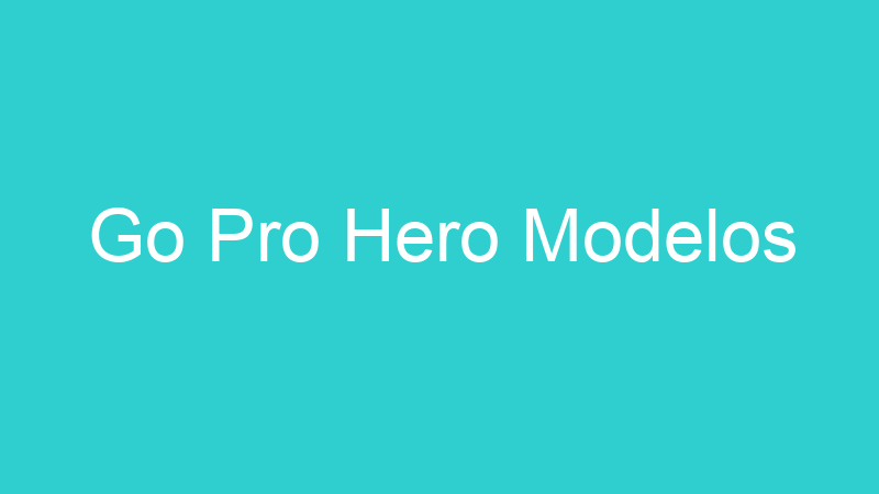 Go Pro Hero Modelos