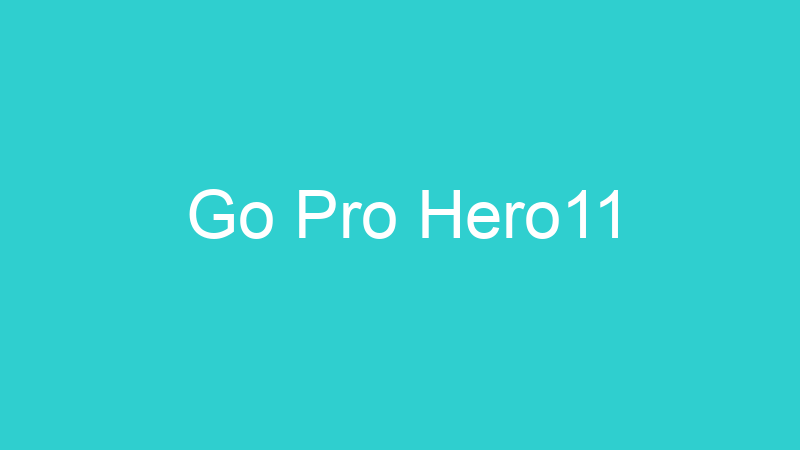 Go Pro Hero11