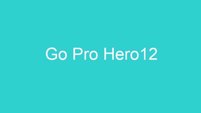Go Pro Hero12