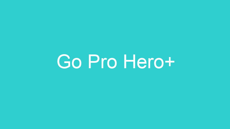 Go Pro Hero+