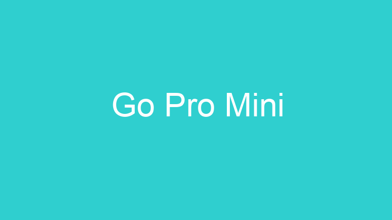 Go Pro Mini