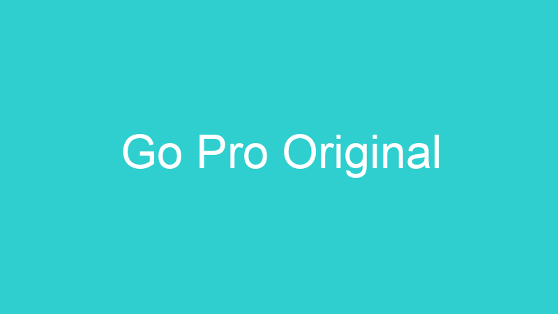 Go Pro Original