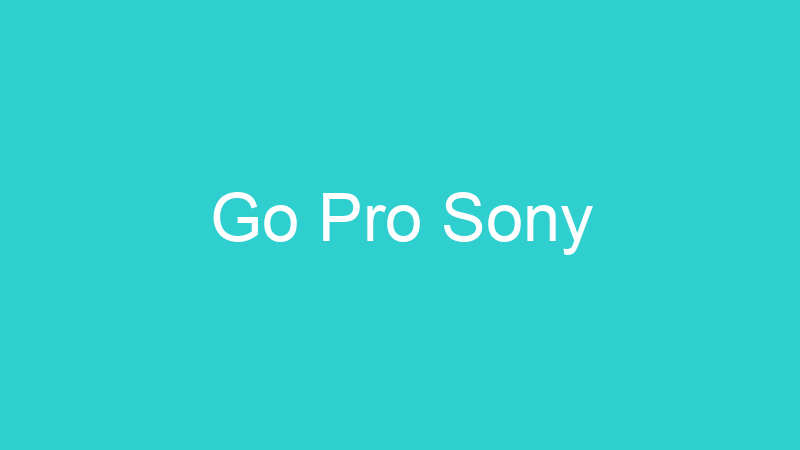 Go Pro Sony