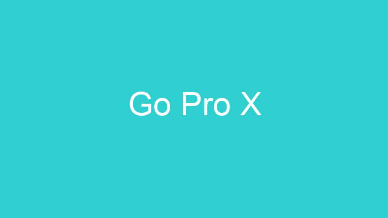 Go Pro X